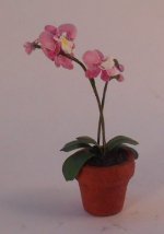 Orchid #17 by Christine Dell'Anna