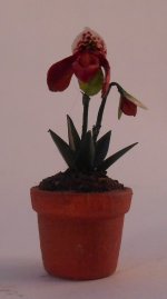 Orchid #12 by Christine Dell'Anna