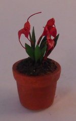 Orchid #28 by Christine Dell'Anna