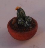 Cacti #2 bt Marie Petrik