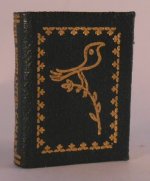 The Enchanted Canary by Barbara Raheb #MM