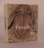 Fossils by Dateman Books