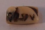 Walrus Carving #2 by Natural Historie