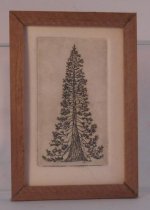 Mysterious Forest #5 Acquatint by Evelina Gussoni