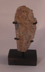 Artifact Collection #19 by Nicole Walton Marble