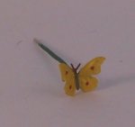 Butterfly #15 by The Flower Lady
