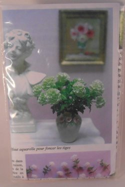 Viburnum by Pascale Gainier