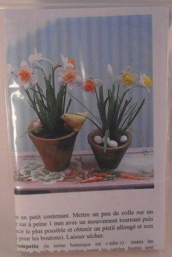 Narcisses White by Pascale Gainier