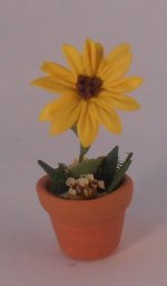 Sunflower by Christine Dell'Anna