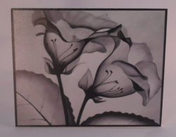 X-Ray Flower Print by Piccole