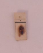 Insect #96 by Natural Historie