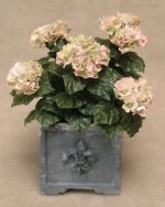 Hydrangea by Silly Sisters