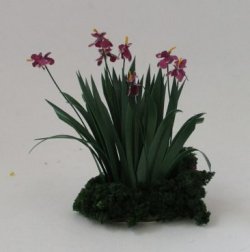 Iris Garden by Cea's Garden
