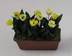 Flower Box Tulips Yellow by Artistic Florals