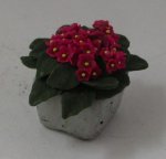 Pink Flowers in Square Planter by by Anna Wybranowska