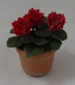 Geranium #1 by by Anna Wybranowska