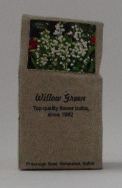 Flower Bulbs #1 by Shepherds