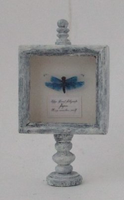 Dragonfly Display Speciman by M.E.Q