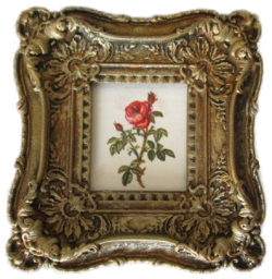 Botanical Painting #10 by Christopher Whitford