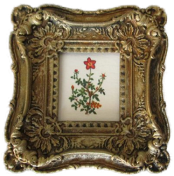 Botanical Painting #15 by Christopher Whitford Botanical Painting #15 by Christopher Whitford