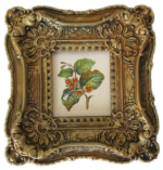 Botanical Painting #20 by Christopher Whitford Botanical Painting #20 by Christopher Whitford