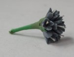 Blue Nile Flower #L