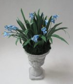 Celeste Blue Iris by Cea's Garden