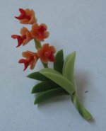 Orchid Orange by Pat Richmond