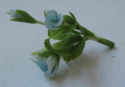 Rose Blue by Pat Richmond