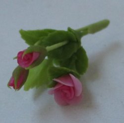 Rose Pink by Pat Richmond