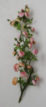 Rose Vine Blush by Gosia Suchodolska
