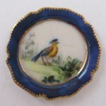 Bird Plate #2 by Le Chateau Interiors