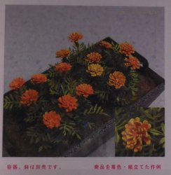 Flower Kit #1 by Kami