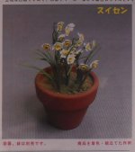 Daffodil Kit #7 by Kami