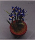Iris Kit #13 by Kami