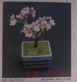 Bonsai Kit #19 by Kami