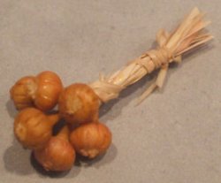 Hanging Onion by Pat Richmond