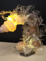 Seashell Lamp #3 by Carriage House Studio