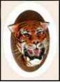 Tiger Head Mount Trophy by Nantast Fantasy